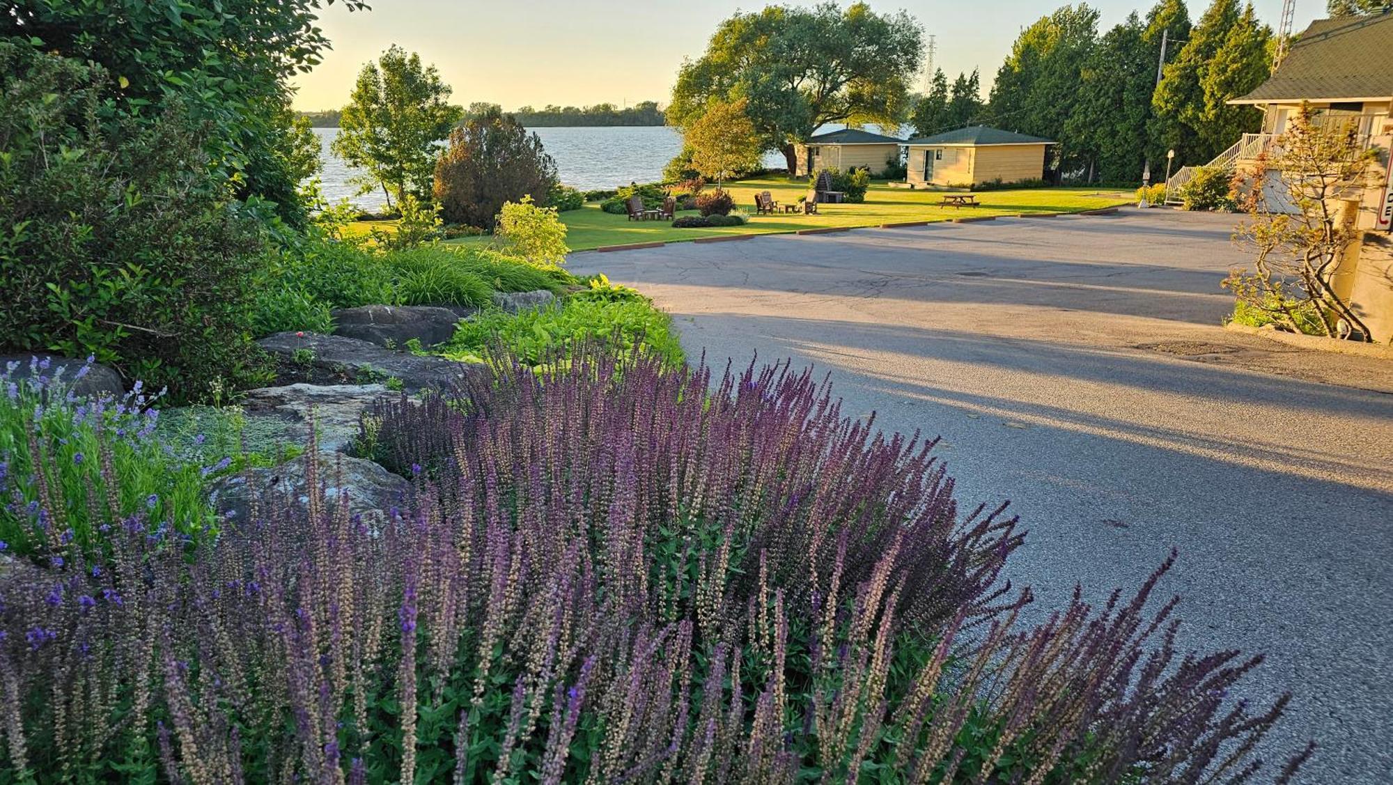 Hotel Oasis Lac St-Louis Salaberry-de-Valleyfield Exterior photo